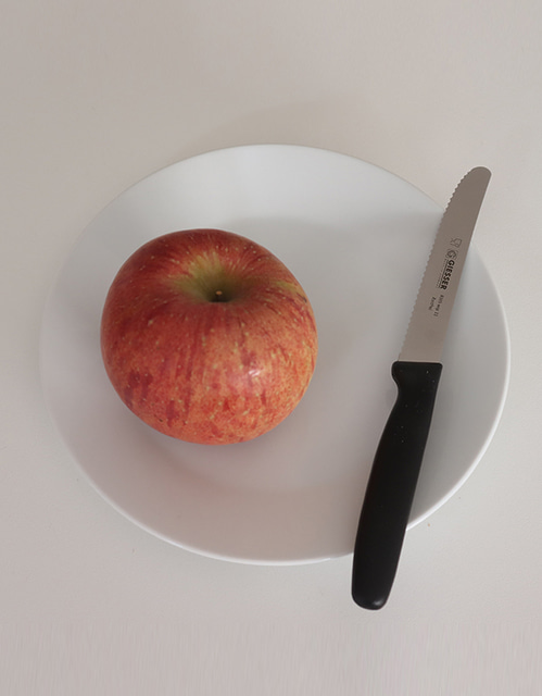 잘 깎이는 과일 칼