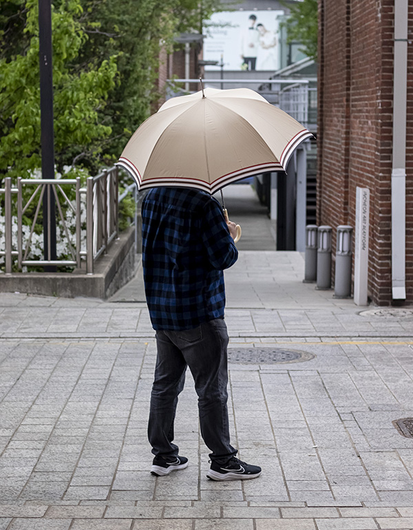 스트라이프 긴 우산